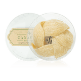 Indonesian golden bird's nest