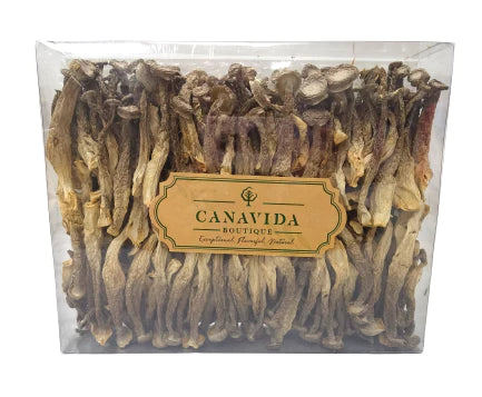 Deer antler mushrooms that are both delicious and nutritious – Canavida